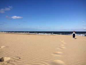 Texel Island beach