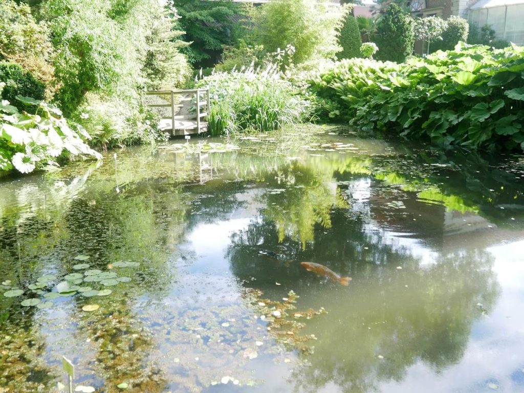 Small lake within the Botanical Garden in Leuven