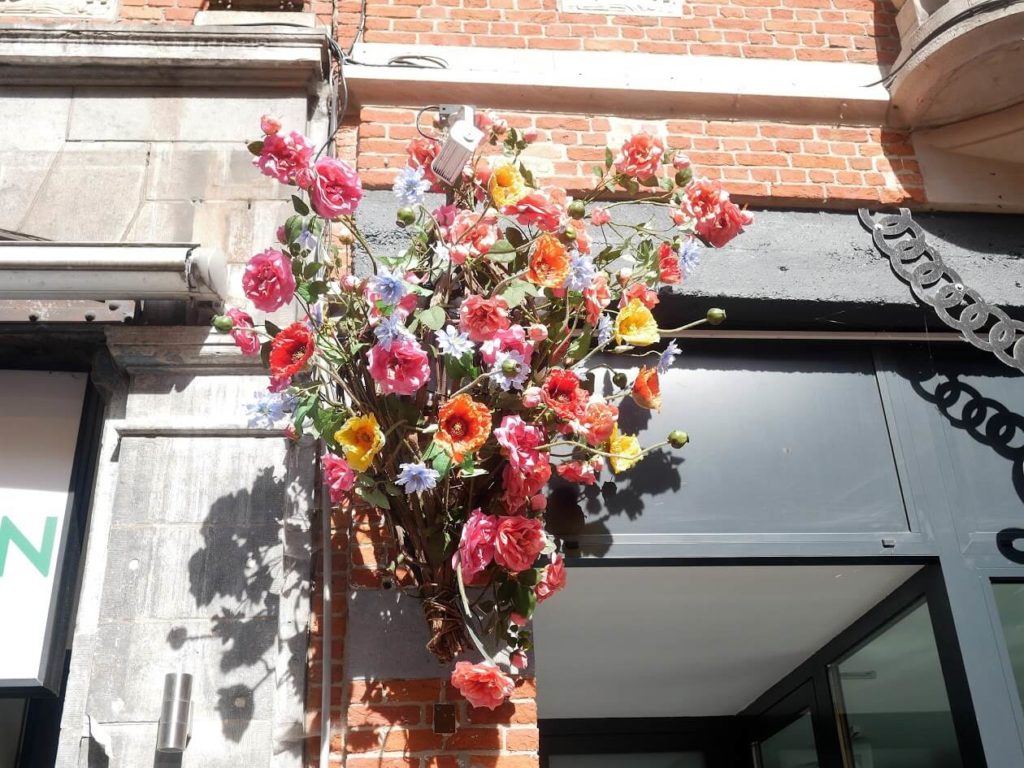 Flowers on a building in Leuven