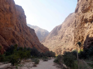 Wadi Shab canyon