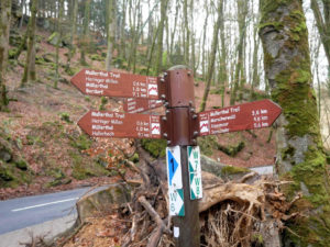 Sing towards Mullerthal trail