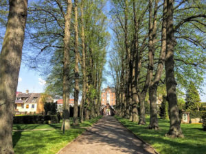 Cemetary in Roskilde