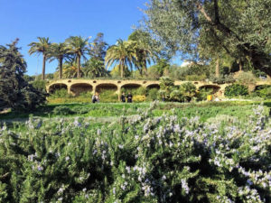 flowers-in-park-guell-barcelona