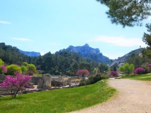 View on Alpilles Mountains in Saint Remy de Provence