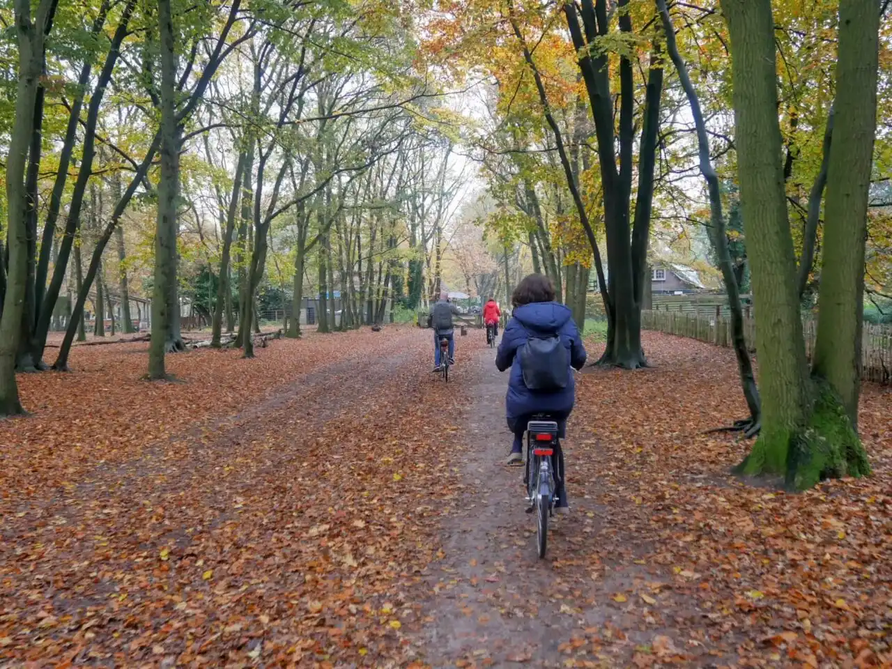 Riding a bycicle in the Amsterdam area