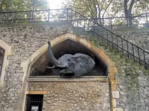Elephant-in-the-Tower-of-London