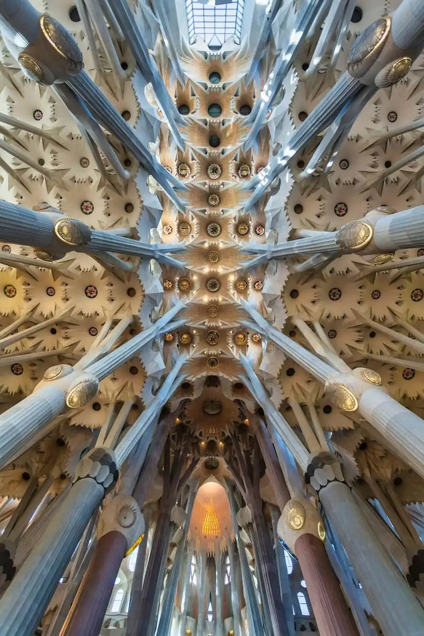 Ceiling of Sagrada Familia in Barcelona