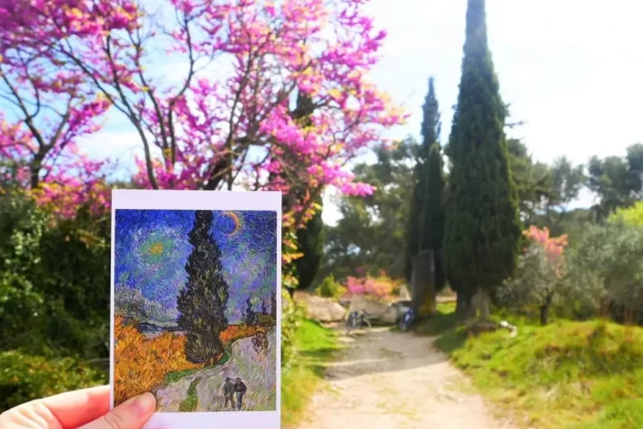 Van Gogh in Saint-Remy-de-Provence