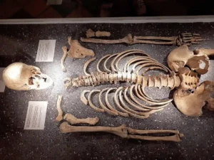 Skeleton from the Archaeology museum in Haarlem