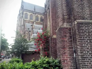 The St. Bavo Church in Haarlem on Grote Markt