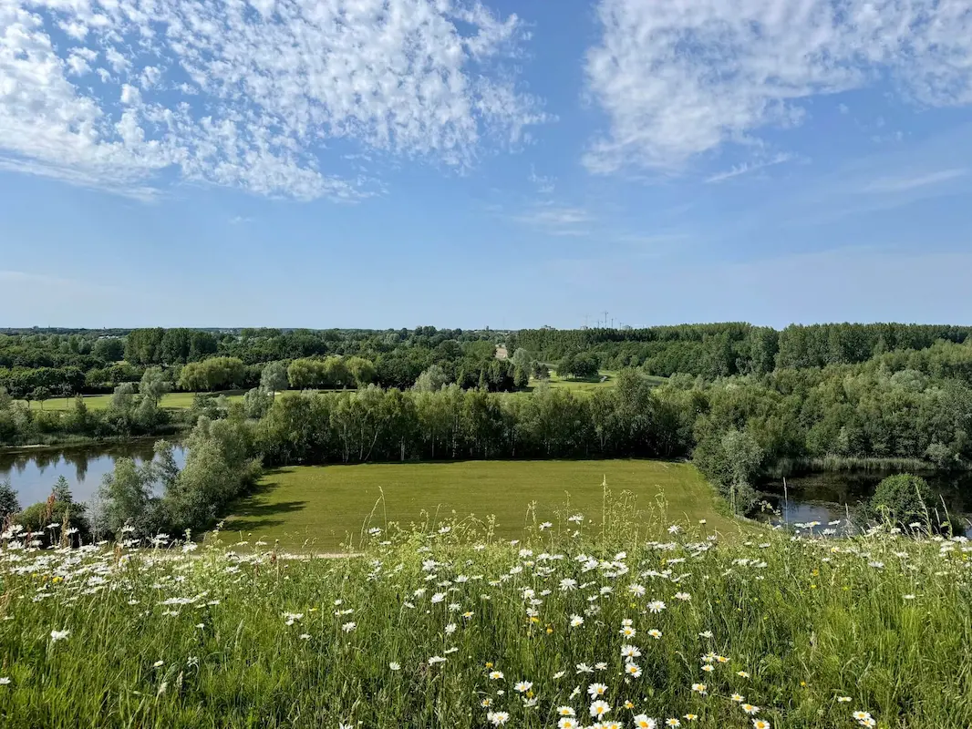 Haarlemmermeer nature